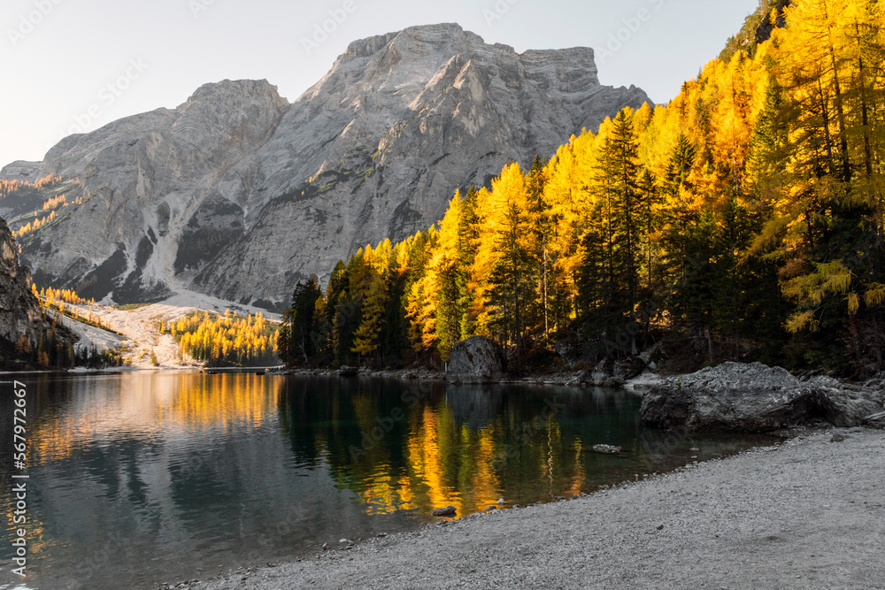 Braies Lake in Dolomites mountains. Beautiful forest trails in the background, Sudtirol, Italy. Incredible colors and reflections.