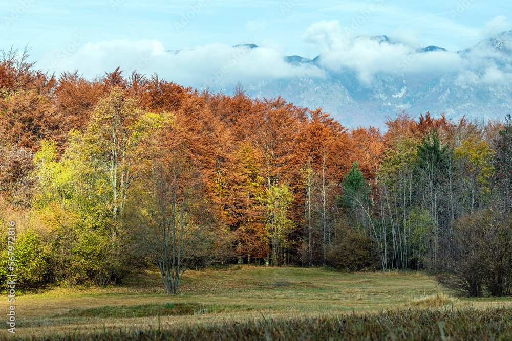 mountain landscape in autumn with warm colors and falling leaves. mountain landscape in autumn with warm colors and falling leaves.