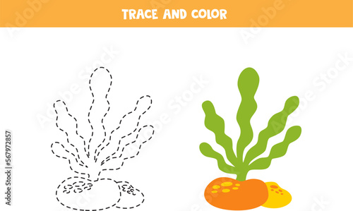 Trace and color cartoon sea weed. Worksheet for children.