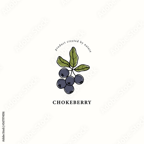 Line art chokeberry branch drawing	
 photo