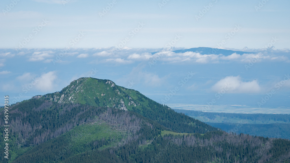 Alpine vista with green mountain and prominent peak shrouded in clouds in the background,EU,Slovakia