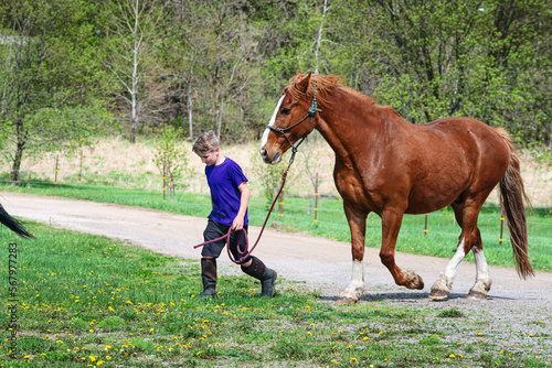 Blond tween boy leading his brown horse in the country. photo