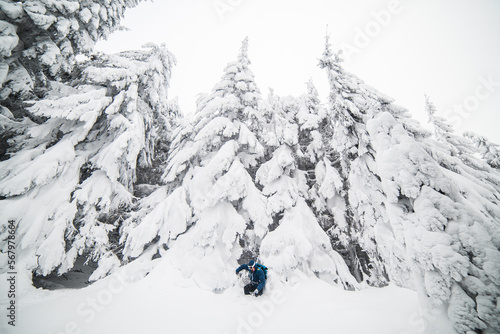 Hiker In Winter Mountain Woods Trail photo