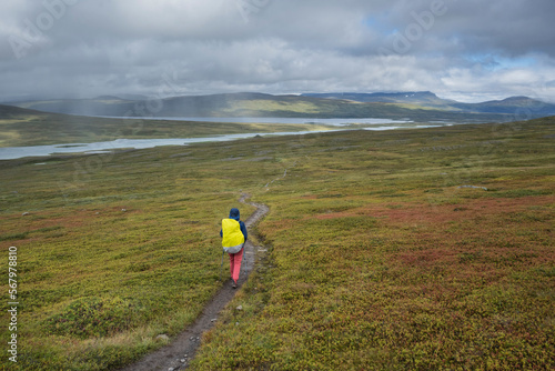Hiker on trail, Pandelantaleden - Padjelanta Trail, Sweden