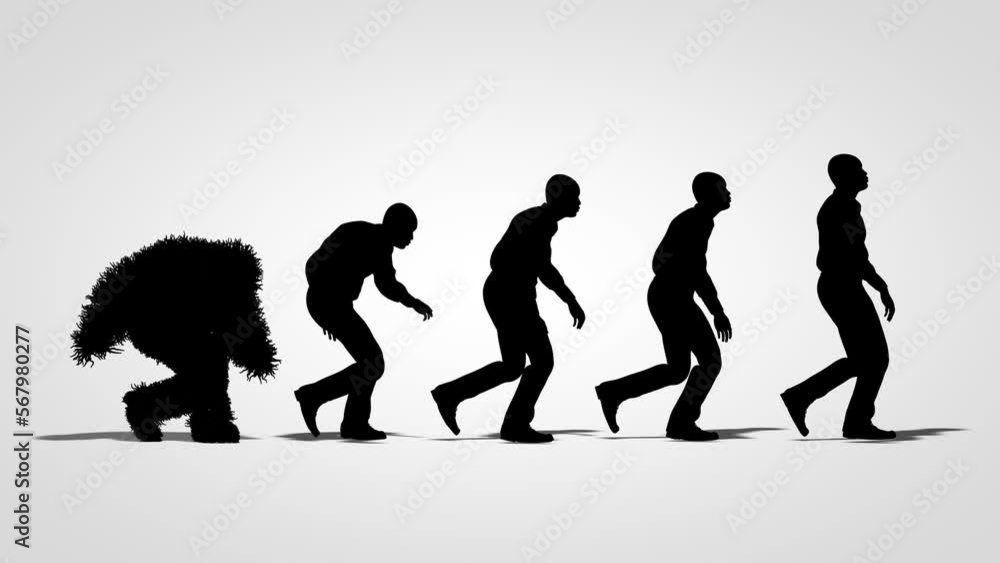 Human Evolution Walk cycle silhouette Loop Human Evolution Walk cycle silhouette Loop
