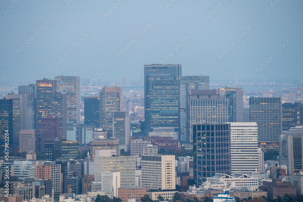 Tokyo citi landscape in early winter