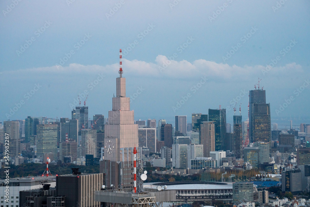 Obraz premium Tokyo citi landscape in early winter