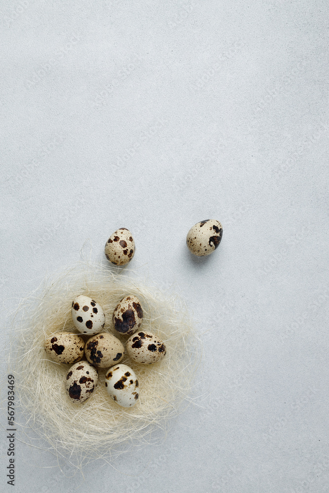 Quail eggs in nest on gray background. Easter concept. Farm products. Vertical Quail eggs in nest on gray background. Easter concept. Farm products. Vertical