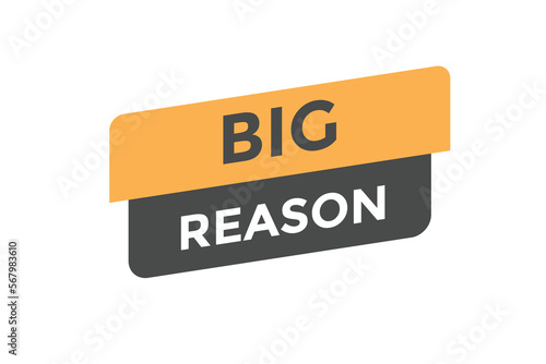 Big reason button web banner templates. Vector Illustration
