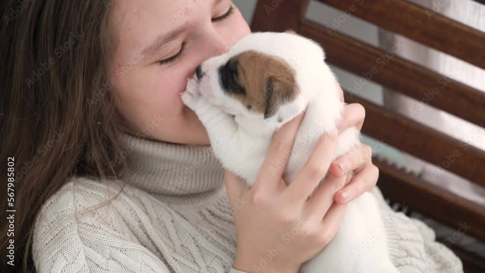Girl petting and playing with a small puppy Girl petting and playing with a small puppy