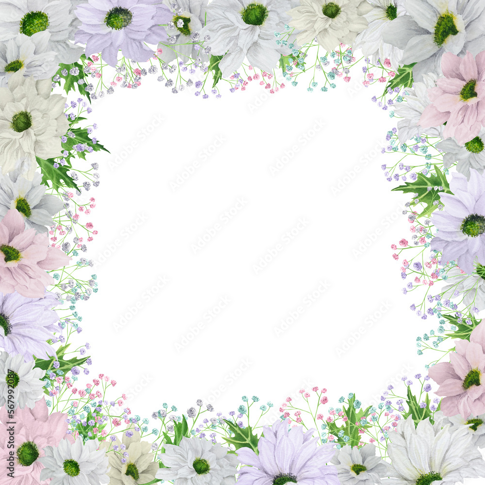 Hand-drawn watercolor square frame with pale pink and lilac chrysanthemum with colored gypsophila