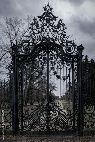 Ancient mysterious wrought gothic metal gate