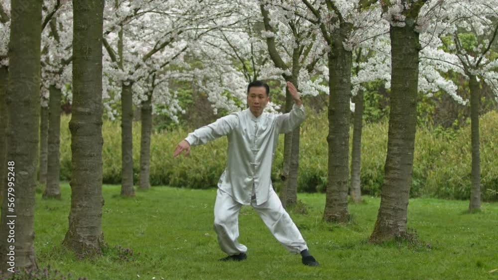 Kung-fu fighter in kimono practicing in cherry orchard. Kung-fu fighter in kimono practicing in cherry orchard.