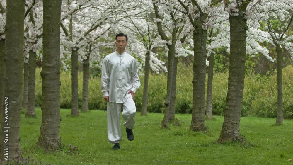 Chinese kung-fu warrior fighting with shadow in cherry orchard. Chinese kung-fu warrior fighting with shadow in cherry orchard.