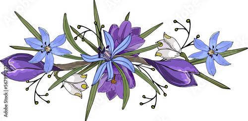 Fototapeta Naklejka Na Ścianę i Meble -  Floral ornament spring, doodle hand drawn, PNG. Crocus, branch, snowdrops.