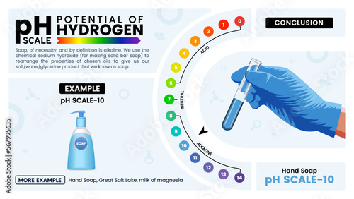 pH scale ten properties, calculation and examples - Vector illustration