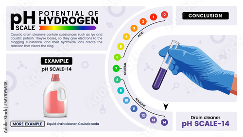 pH scale fourteen properties, calculation and examples - Vector illustration