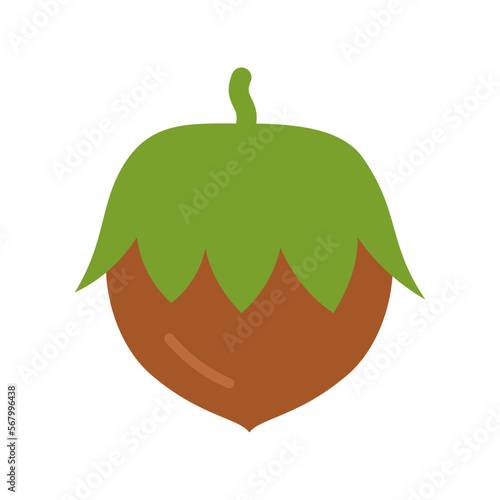 Hazelnut icon. Filbert isolated on white background.
