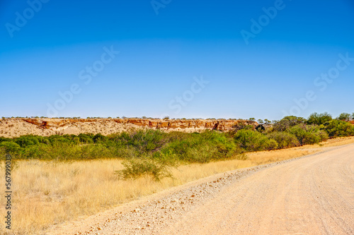 Auob River Valley, Kalahari desert, Namibia photo