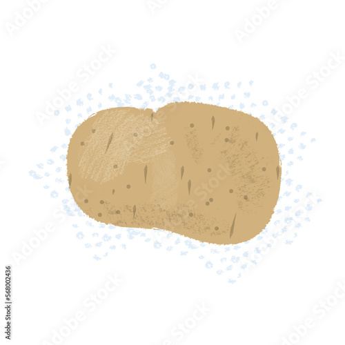 Potato hand-drawn illustration with textures. Healthy organic food concept. Elements on different layers for ease of use. Full vector. Transparent background.