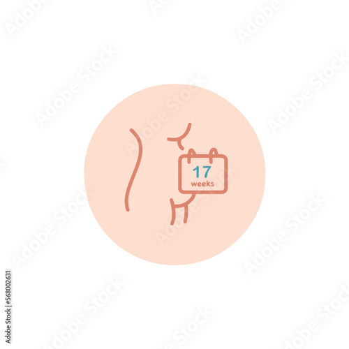 17 weeks pregnant icon. Seventeen weeks of pregnancy calendar icon in vector. Four months pregnant woman sign. Pregnancy week by week.