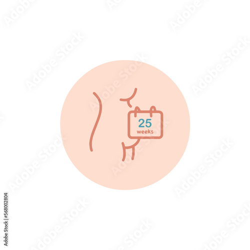 Twenty-five weeks pregnant icon. 25 weeks of pregnancy calendar icon in vector. Six months pregnant woman sign. Pregnancy week by week.