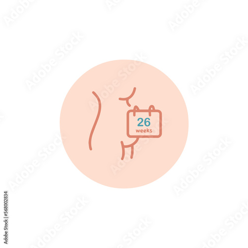 26 weeks pregnant icon. 26 weeks of pregnancy calendar icon in vector. Six months pregnant woman sign. Pregnancy week by week.