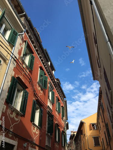 Colored buildings with wooden shutters and gulls in Croatia.