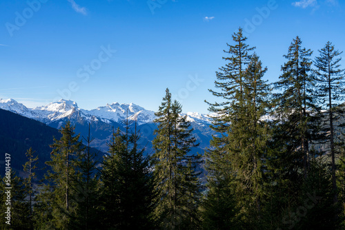 Blick über Nadelbäume auf gegenüberliegende Gipfel