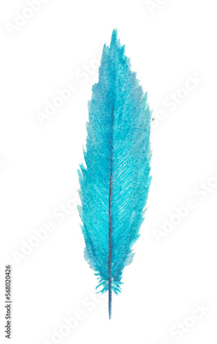 Watercolor drawing blue soft magical bird feather element on transparent background
