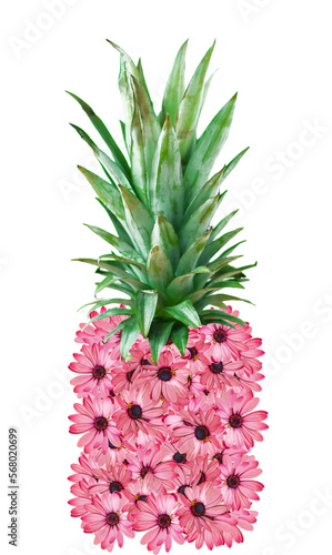 Pink gazania flower pineapple design element on transparent background png

