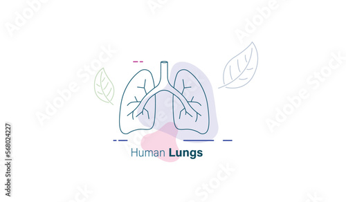 Human lungs line art vector illustration 