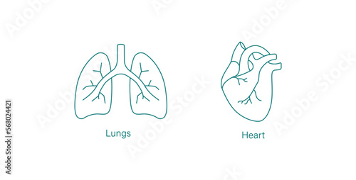 lungs and heart line icon vector illustration 