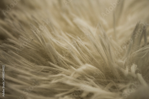 Close up soft wool background. Texture fluffy fur. Natural fur rug.
