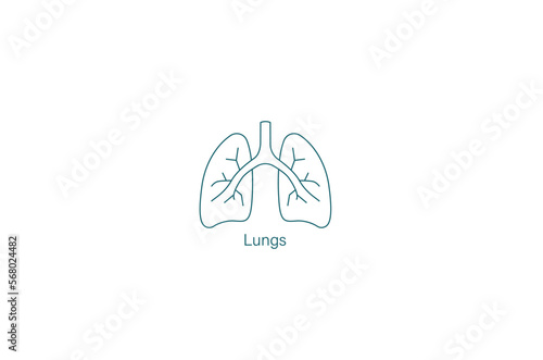 Lungs icon icon vector illustration 