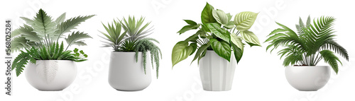 Photo Plants in a modern white pot, transparent background, generative ai