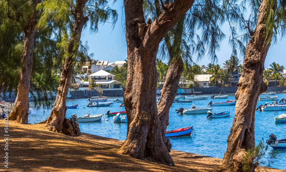 Barques au Bassin Pirogue, l’Etang-Salé, île de la Réunion 