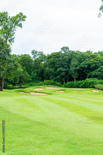 Green with Sand bunkers on Golf course