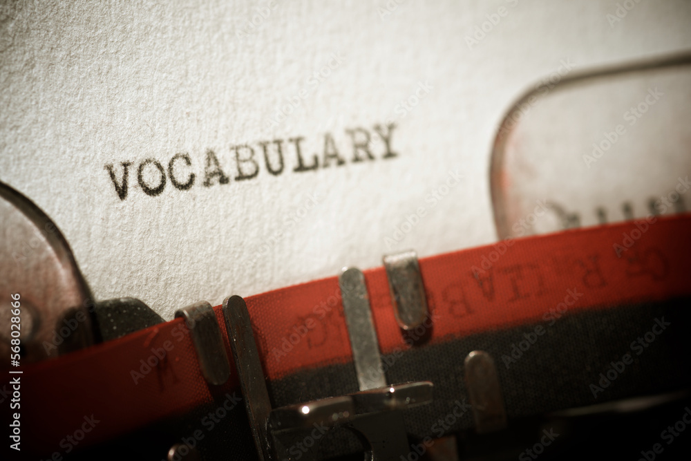 Vocabulary concept view