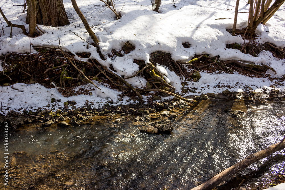 Stream with snow-covered banks in the winter forest Stream with snow-covered banks in the winter forest