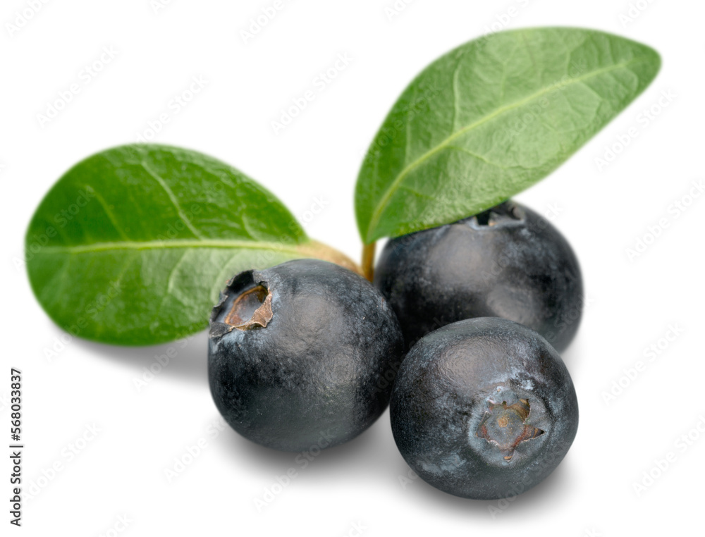 Blueberries Blueberries