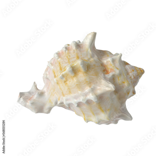 Sea shell isolated transparent background 3d rendering