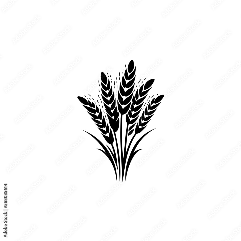 wheat isolated on white wheat isolated on white