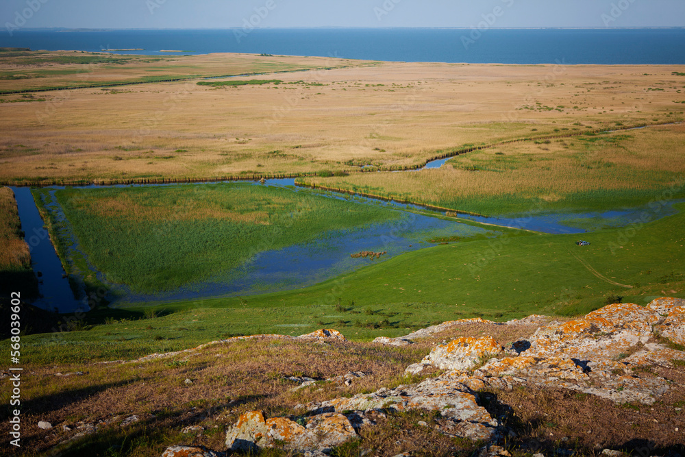 Field. Wide expanse of land.