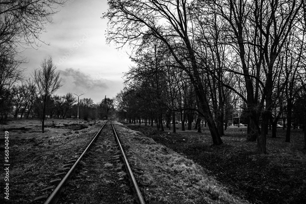 Fototapeta premium railroad tracks in the morning. Black and white landscape