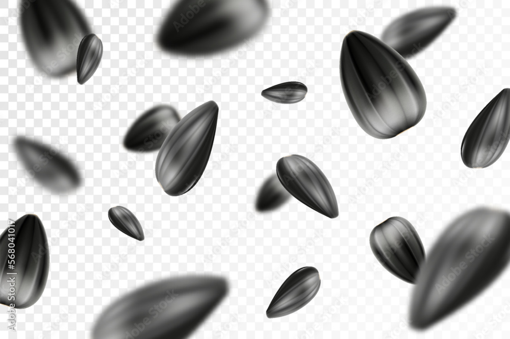 Sunflower seed background. Flying sunflower seed isolated on transparent background. Selective focus. Can be used for advertising, packaging, banner. Realistic 3d design. Vector illustration Sunflower seed background. Flying sunflower seed isolated on transparent background. Selective focus. Can be used for advertising, packaging, banner. Realistic 3d design. Vector illustration