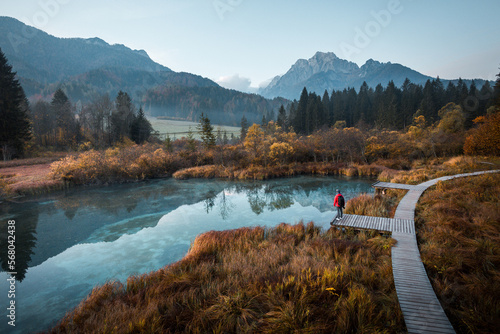 Young man hiker or photographer sitting on wooden bridge and enjoying freedom. Nature, Outdoors, Travel, Relaxation, Lifestyle Image. Amazing view on Zelenci natural reserve in Slovenia, Europe