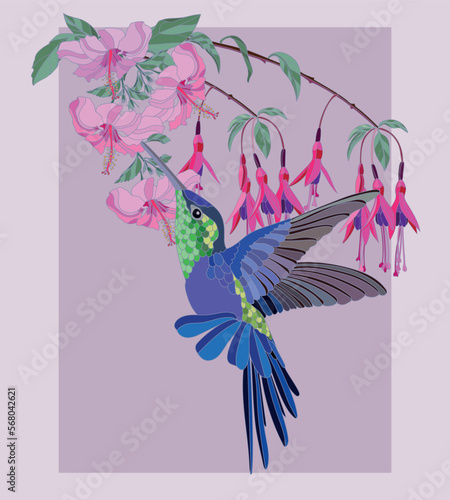  Poster botanical illustration of hummingbird with exotic flowers