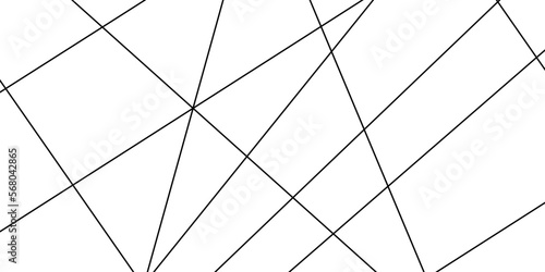 Abstract lines in black and white tone of many squares and rectangle shapes on white background. Metal grid isolated on the white background. nervures de Feuillet mores, fond rectangle and geometric 