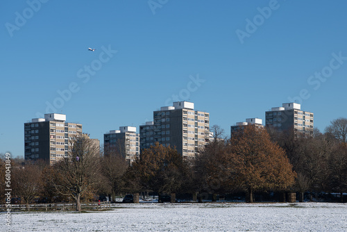 View of Alton Estate from Richmond Park